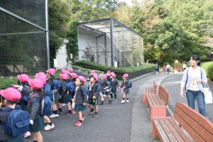 遠足　安佐動物園